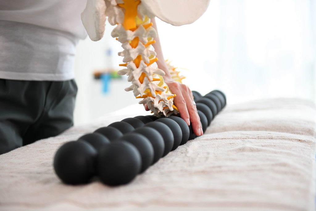 Spinefitter