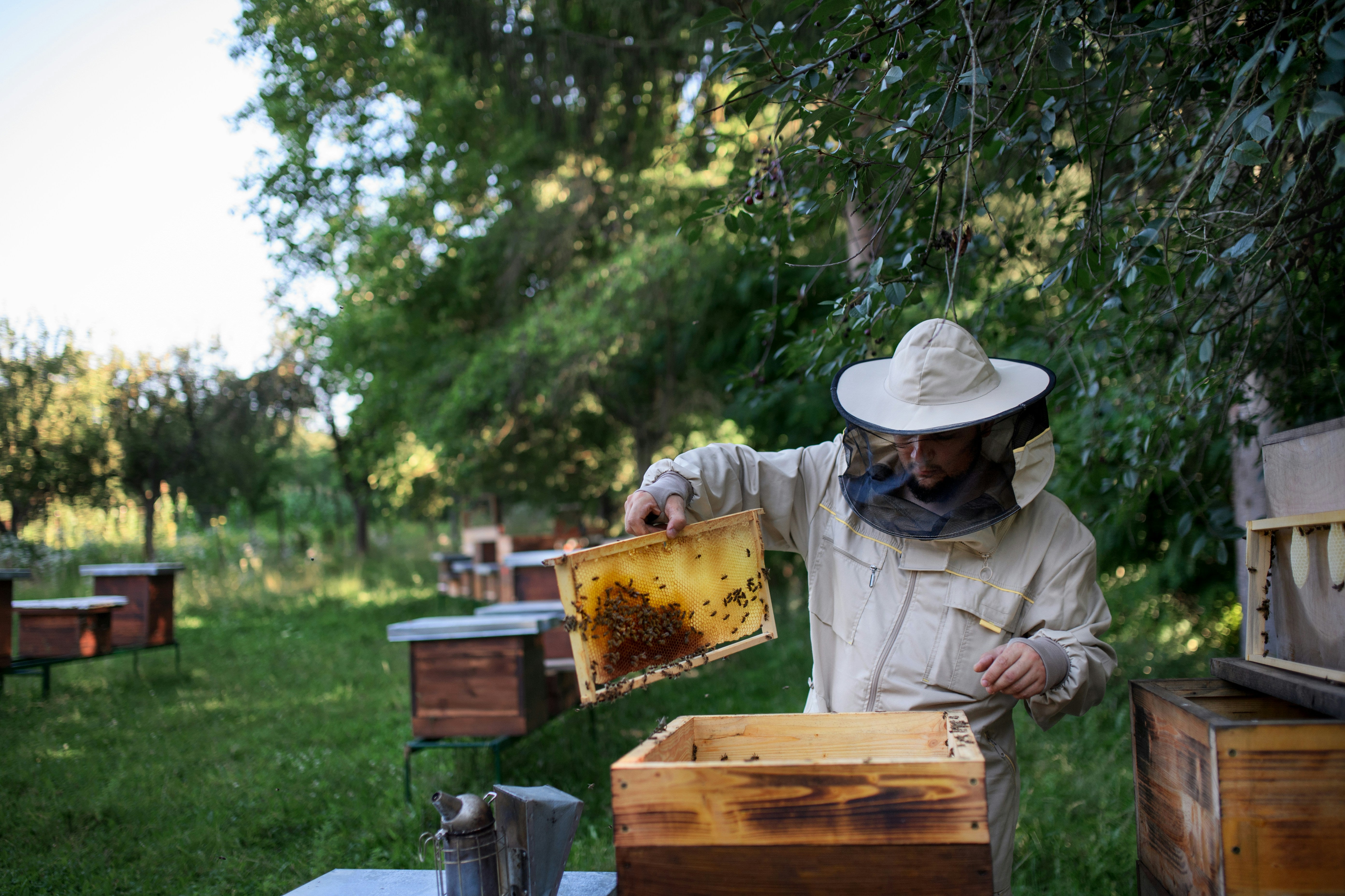 The True Honey Co.