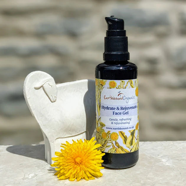 Hydrate and Rejuvenate Face Gel