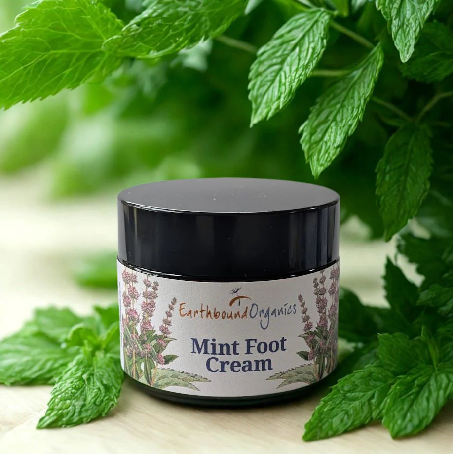 Mint foot Cream