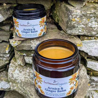 Arnica and Ginger Balm