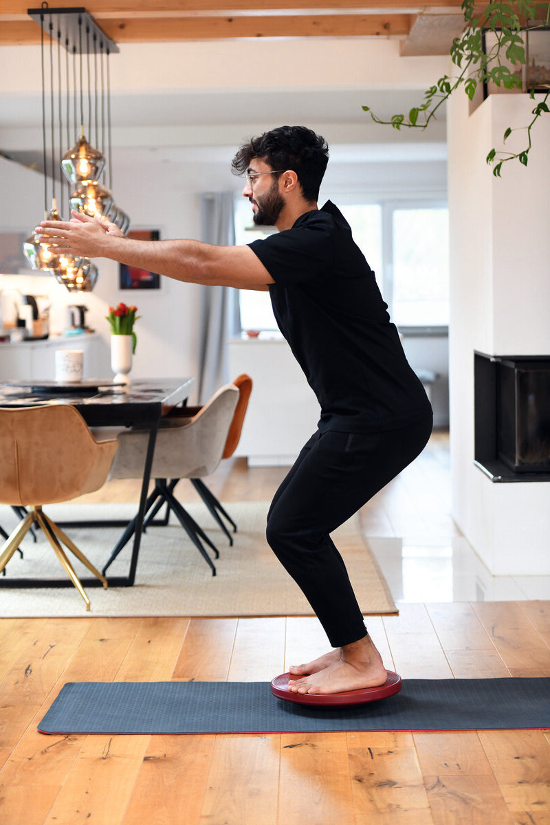 Balance Board Plus