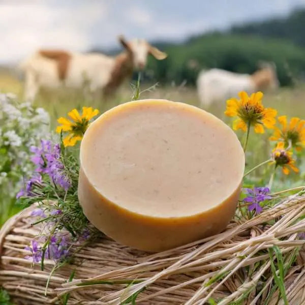 Goats Milk Soap Bar Unscented | Delicate, Dry or Irritated Skin (170g)