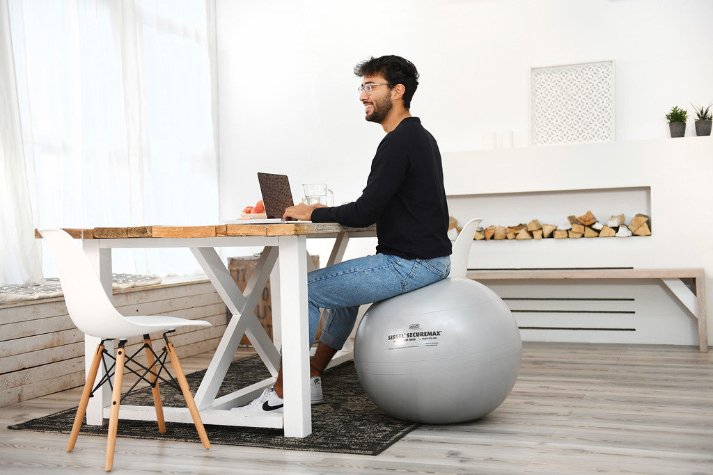 Securemax Exercise Balls