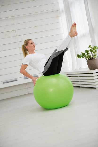 Securemax Exercise Balls