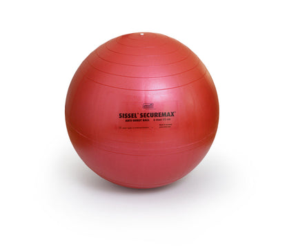 Securemax Exercise Balls