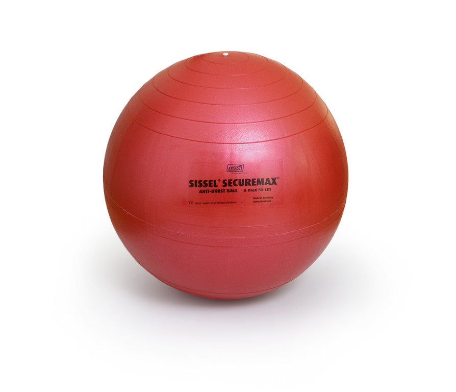 Securemax Exercise Balls