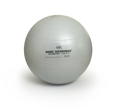 Securemax Exercise Balls