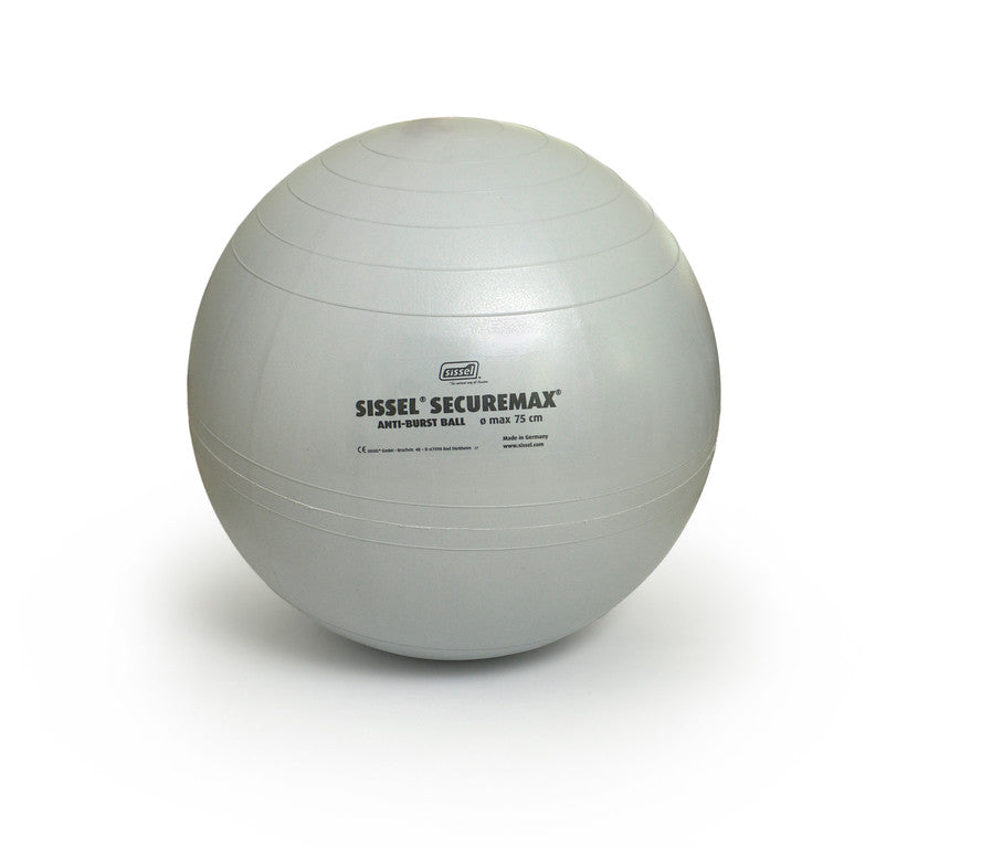 Securemax Exercise Balls