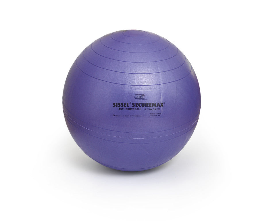 Securemax Exercise Balls